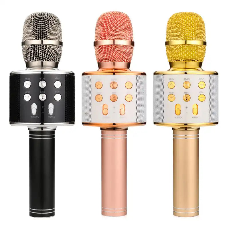 WS-858 Mic & Hifi Speaker,Wireless Bluetooth Karaoke Microphone, Voice Record